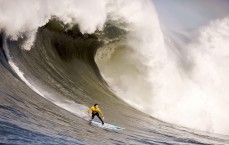 【体彩网】昔日狼王精神照耀标靶中心，嘴哥重返明尼苏达引爆球迷山呼海啸