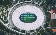 中国体彩网_意甲比萨俱乐部重磅投资，900万欧元引进比尔森锋线尖刀杜罗辛米