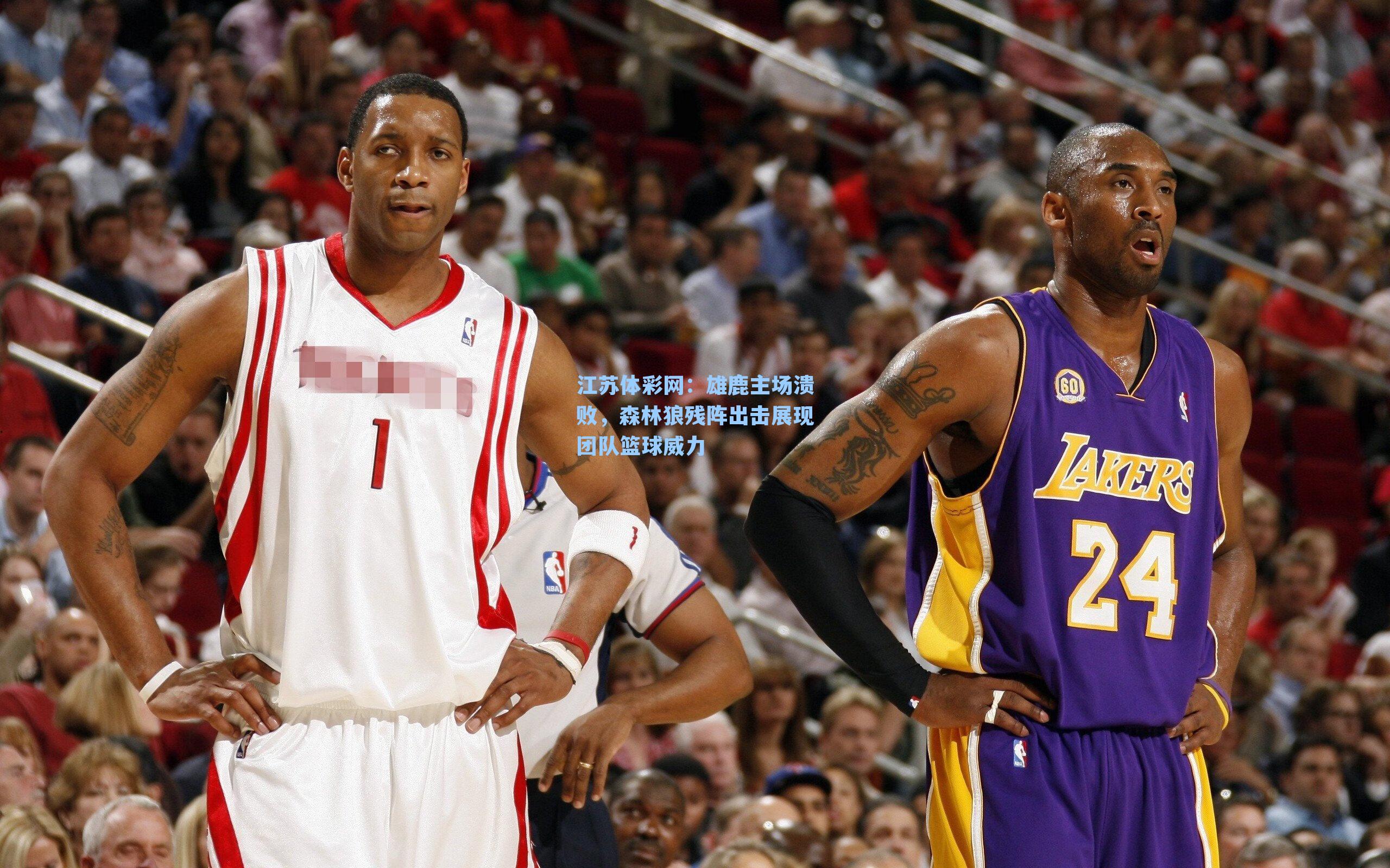 雄鹿主场溃败,森林狼残阵出击展现团队篮球威力